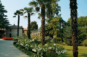 Gallaite Lombardo Villa Bellardi