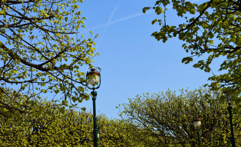Al via la rivoluzione Green nel centro di Gallarate
