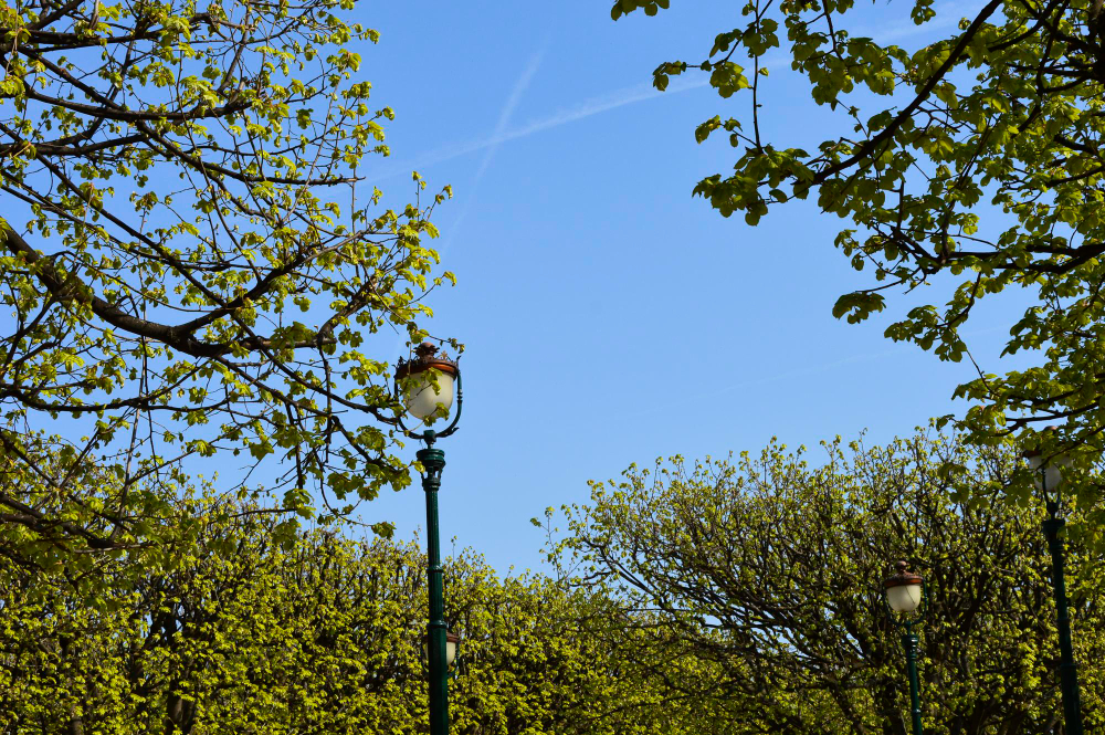 Al via la rivoluzione Green nel centro di Gallarate