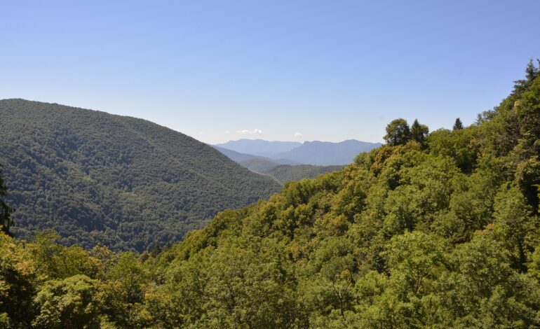 Val Veddasca: i 5 sentieri escursionistici più belli