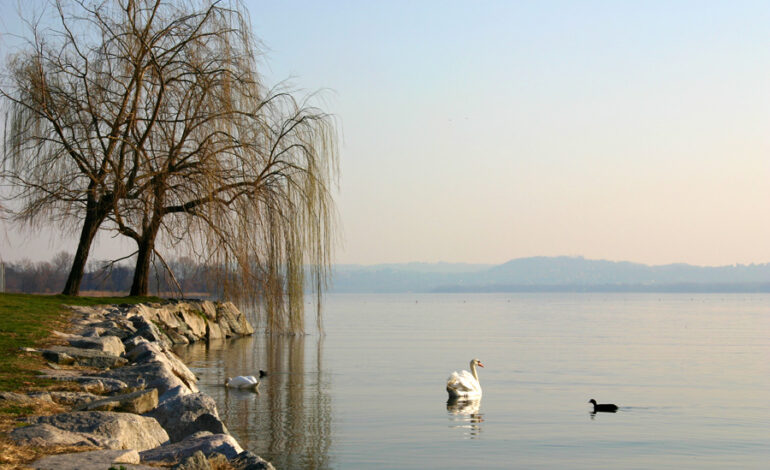 Alla scoperta dei sapori del Lago di Varese: prodotti tipici da non perdere