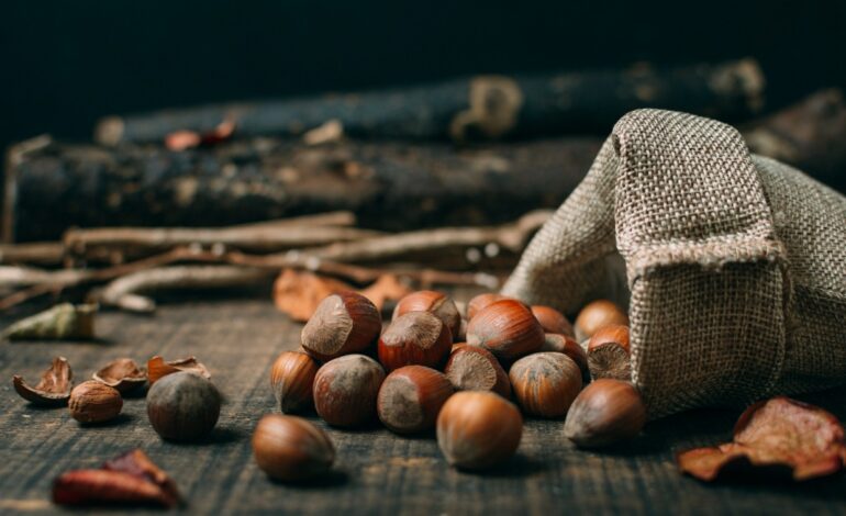 Sapori d’autunno e profumo di castagne: le sagre che hanno animato il Varesotto nel 2025