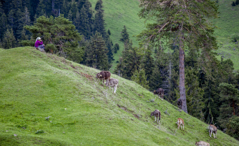 Monte Orsa a Viggiù: cosa vedere e come arrivare