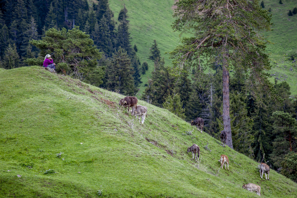 Monte Orsa a Viggiù: cosa vedere e come arrivare