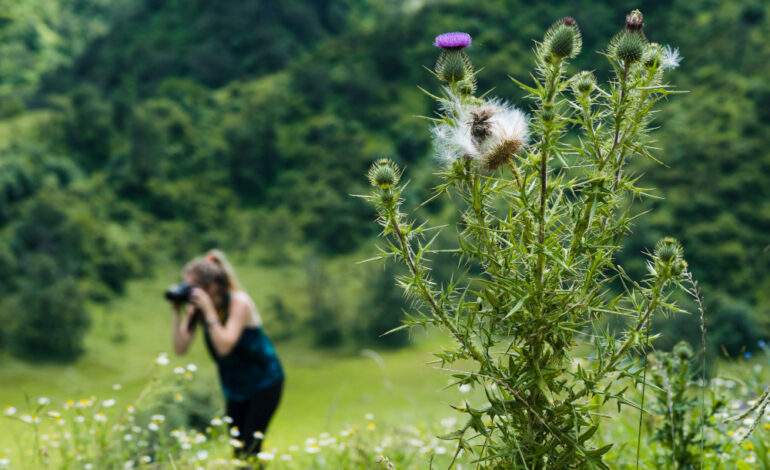 parco campo dei fiori varese