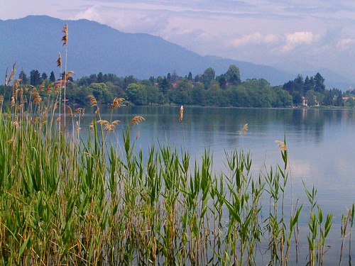 Dove fare il bagno al Lago di Monate: stabilimenti attrezzati, sponde d’erba e consigli per il weekend